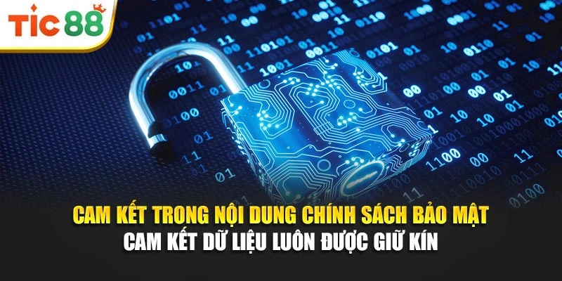 Cam kết trong nội dung chính sách bảo mật cam kết dữ liệu luôn được giữ kín 
