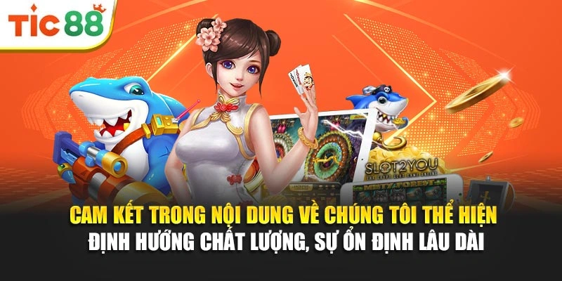 Cam kết trong nội dung về chúng tôi thể hiện định hướng chất lượng, sự ổn định lâu dài