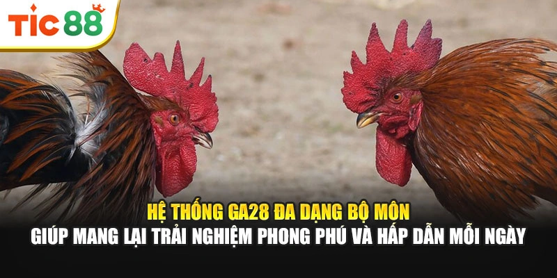 Hệ thống GA28 đa dạng bộ môn giúp mang lại trải nghiệm phong phú, hấp dẫn mỗi ngày