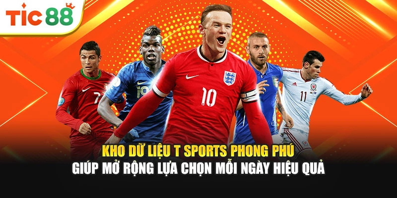Kho dữ liệu T Sports phong phú giúp mở rộng lựa chọn mỗi ngày hiệu quả