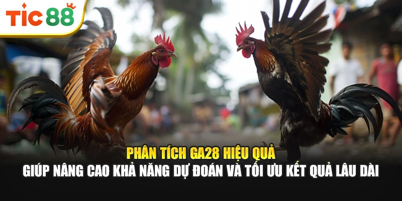 Phân tích GA28 hiệu quả giúp nâng cao khả năng dự đoán, tối ưu kết quả lâu dài