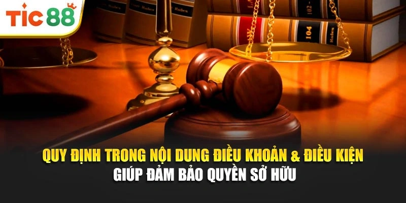 Quy định trong nội dung điều khoản & điều kiện giúp đảm bảo quyền sở hữu