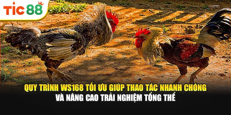 Quy trình WS168 tối ưu giúp thao tác nhanh chóng và nâng cao trải nghiệm tổng thể