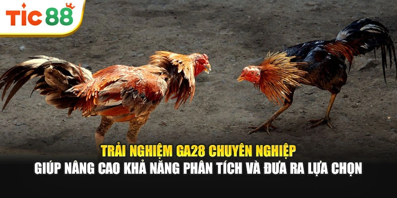 Trải nghiệm GA28 chuyên nghiệp giúp nâng cao khả năng phân tích, đưa ra lựa chọn