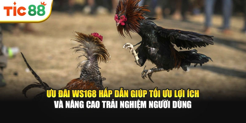 Ưu đãi WS168 hấp dẫn giúp tối ưu lợi ích và nâng cao trải nghiệm người dùng